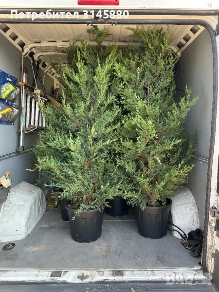 Транспортни Услуги и Логистика., снимка 1