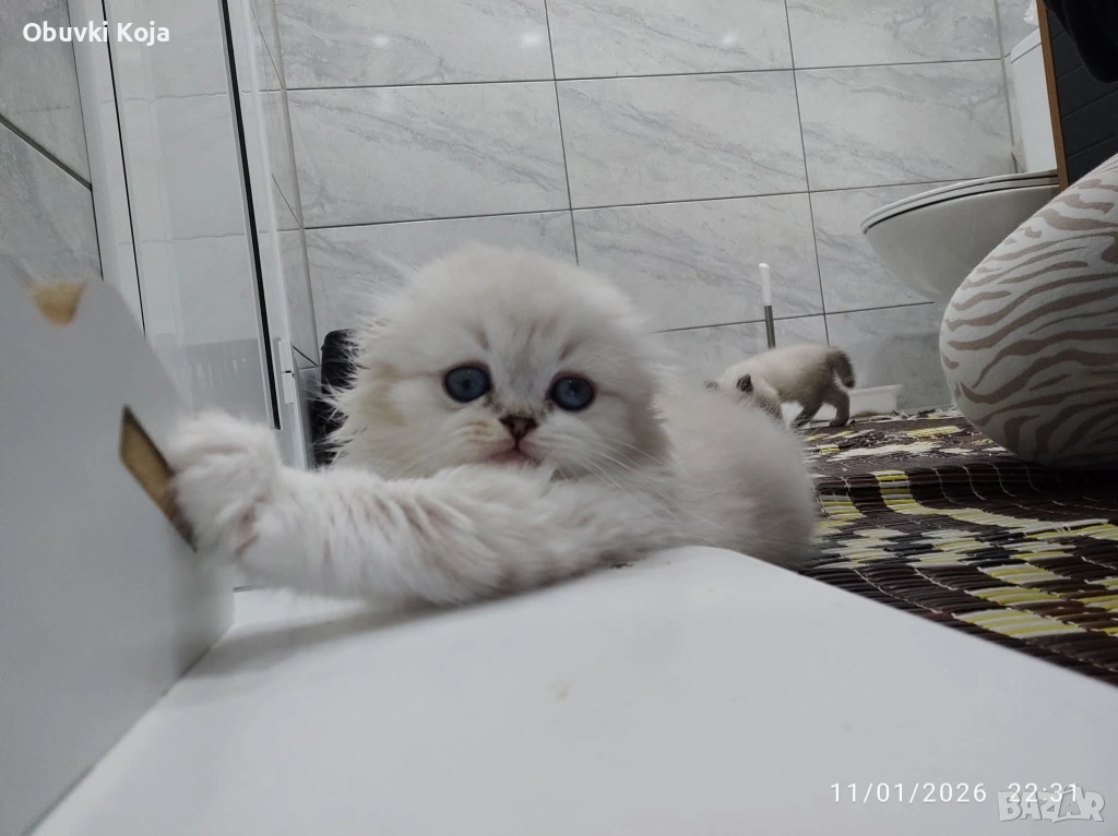 Последното момиченце не е красива ами просто е уникална, снимка 1