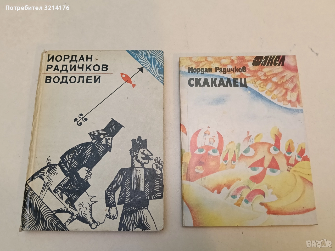 Водолей - Йордан Радичков, снимка 1