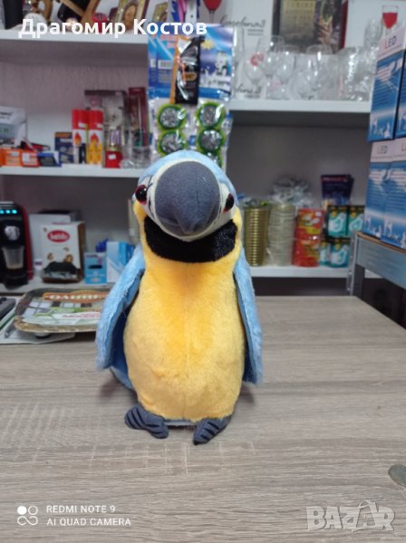 Плюшена играчка говорещ папагал, снимка 1