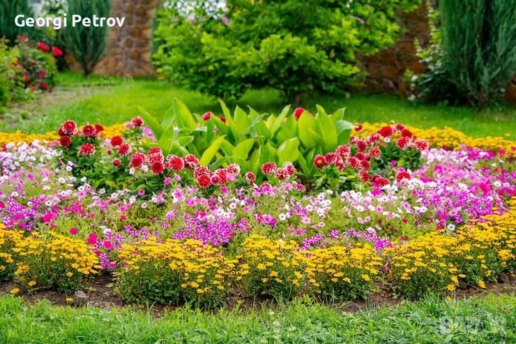 Тор за цветя и храсти от Калифорнийски червеи 20л-5лв, снимка 1