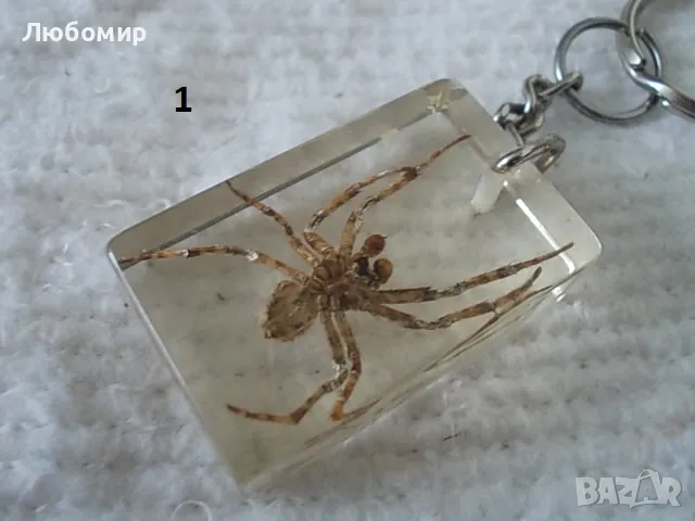 Стари ключодържатели Насекоми, снимка 2 - Антикварни и старинни предмети - 49544764