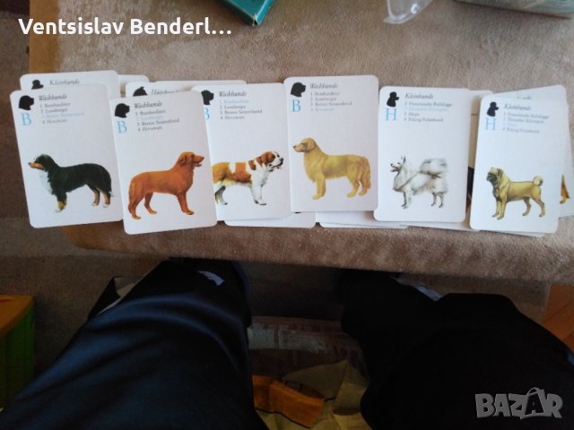 Колекционерски карти за игра, с кучета, снимка 6 - Карти за игра - 38499599