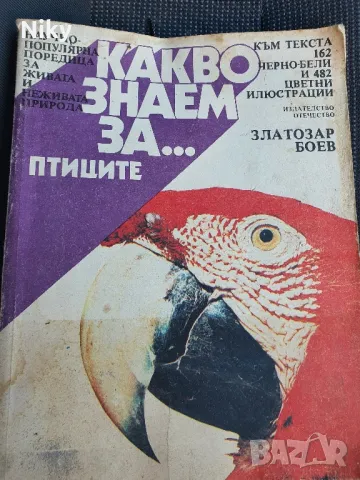 Какво знаем за птиците 