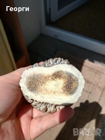 Стара бронзова статуетка върху кост, снимка 6 - Антикварни и старинни предмети - 50127201