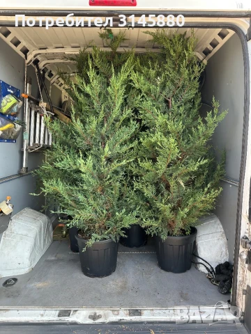 Транспортни Услуги и Логистика.