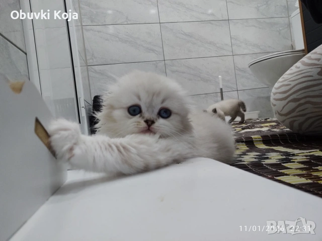 Последното момиченце не е красива ами просто е уникална