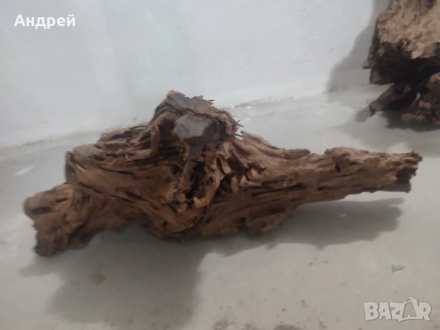 Огромни Мангров корен 50+см. 60 - 85лв. , снимка 7 - Оборудване за аквариуми - 51042014
