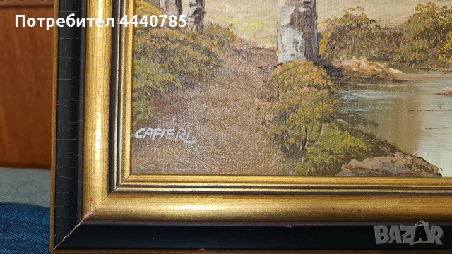 Картини масло в/у платно, снимка 5 - Картини - 53113820