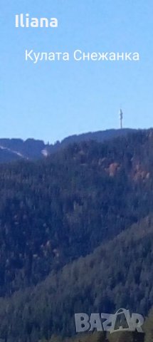 Продавам имот в землището на с.Момчиловци с квадратура 2700кв.м, снимка 12 - Земеделска земя - 37686757