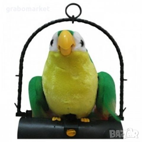  Говорящ повтарящ папагал детска играчка "Пачо", снимка 2 - Музикални играчки - 26835200