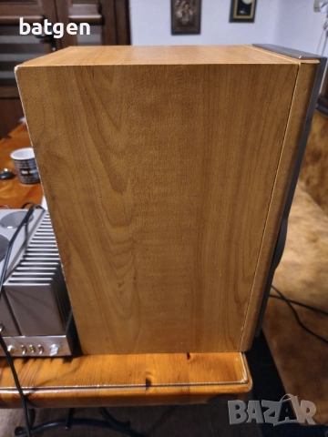 Sony ss-nx1, снимка 6 - Тонколони - 51955620