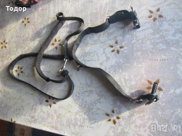 Страхотна каишка за куче , снимка 3 - За кучета - 27399009