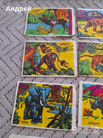 Картинка,картинки от дъвка #7, снимка 2 - Колекции - 43898337