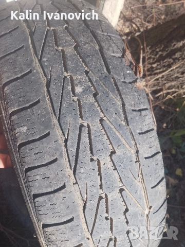 3.15/и.1.14.цола.зимни гоми 