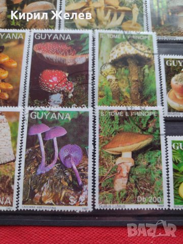 Пощенски марки чиста комплектна серия Гъби стари редки за колекция декорация - 22047, снимка 3 - Филателия - 36642280