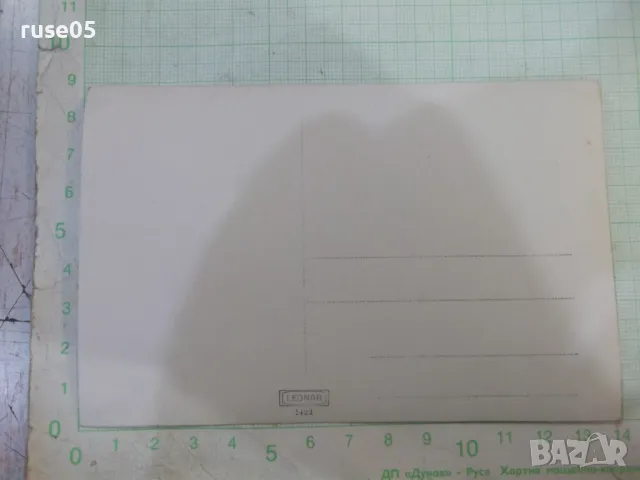 Снимка стара на група на пикник, снимка 2 - Колекции - 47906784