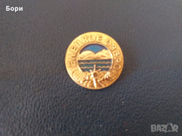 Рядка значка Елецкое озеро, снимка 2 - Други ценни предмети - 28008237