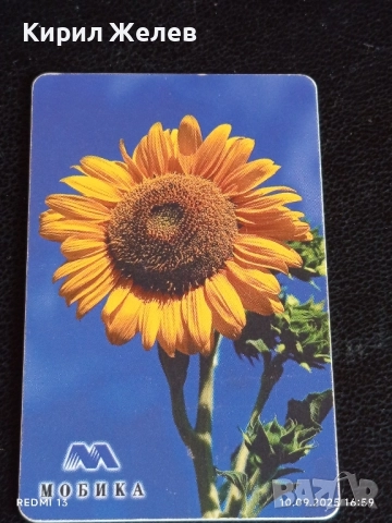 ДВЕ фонокарти БЕТКОМ, МОБИКА тема ПАМПОРОВО, СЛЪНЧОГЛЕДИ за КОЛЕКЦИЯ ДЕКОРАЦИЯ 26985, снимка 6 - Колекции - 51668773