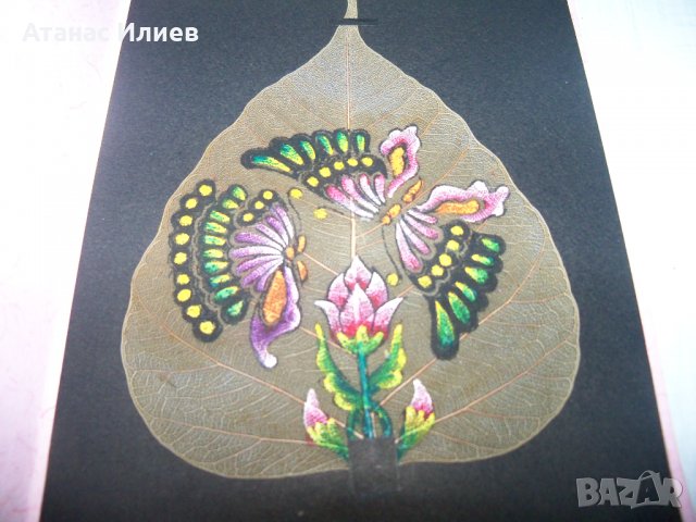 Ръчно рисувана картичка върху листо от дървото Бодхи, Индия 5, снимка 4 - Други ценни предмети - 35593819