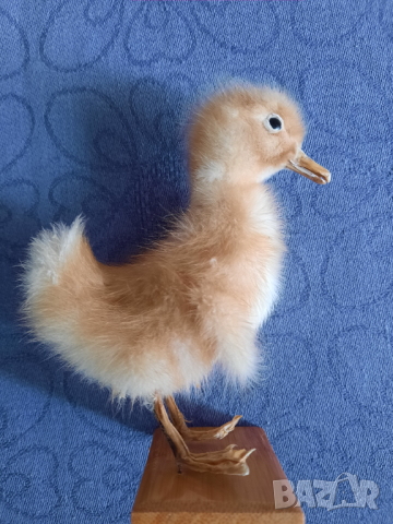 Сувенир патенце, снимка 4 - Декорация за дома - 44877757