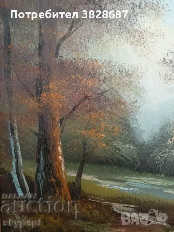 Картина,,ПЕЙЗАЖ,,, снимка 5 - Картини - 48250433