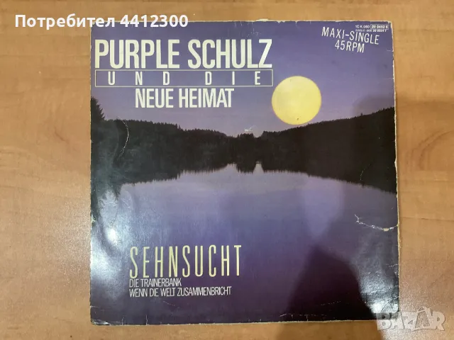 Грамофонна плоча 12”, снимка 2 - Грамофонни плочи - 50087911