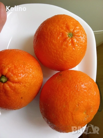 Сладко мандаринови корички, снимка 2 - Домашни продукти - 53570813