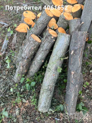 Дърва за огрев - Елша, снимка 1