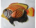 Риба фигура, фигури и  дървена риба подложка, снимка 8