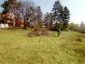 Косене на трева, рязане на дървета.Почистване на терени вили изоставени места., снимка 1 - Други почистващи услуги - 32651152