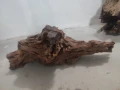 Огромни Мангров корен 50+см. 60 - 85лв. , снимка 7