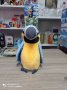 Плюшена играчка говорещ папагал, снимка 1 - Музикални играчки - 38929854