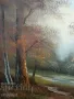 Картина,,ПЕЙЗАЖ,,, снимка 5