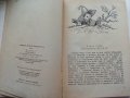 Незнайко в Слънчевият град - Н.Носов - 1973г. , снимка 3