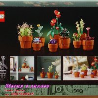 Продавам лего LEGO Icons 10329 - Малки растения, снимка 2 - Образователни игри - 44089999