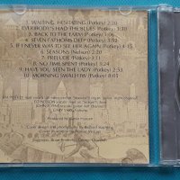 Kingdom – 1970 - Kingdom(Psychedelic Rock), снимка 3 - CD дискове - 42999285