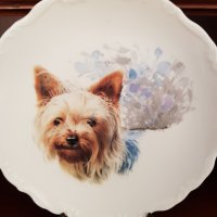 Декоративни чинии с кученца, снимка 3 - Други - 33475047