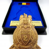 Министерство на отбраната-Румъния-Почетен медал-Пехотен батальон, снимка 2 - Нумизматика и бонистика - 27365522