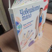 Човешкото тяло," прозрачна " енциклопедия от 1993 г., снимка 9 - Енциклопедии, справочници - 39007785