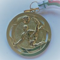 Медал ДСА "Лъвчетата" Турнир на детските градини 2018, снимка 2 - Антикварни и старинни предмети - 38348514