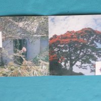 René Lacaille – 1999 - Patanpo - La Réunion(Maloya,Séga), снимка 2 - CD дискове - 43592264