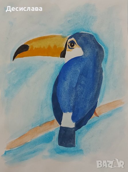 Тукан рисунка акварел размер А4, снимка 1