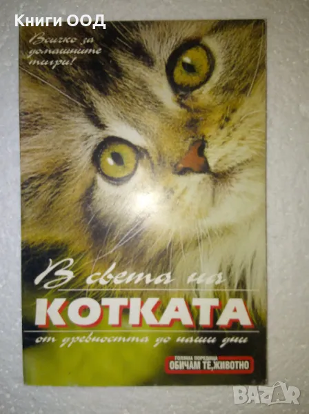 В света на котката.., снимка 1