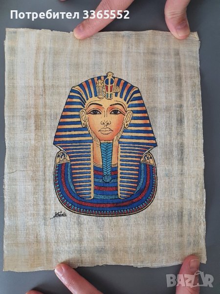 Египетски папируси, комплект , снимка 1