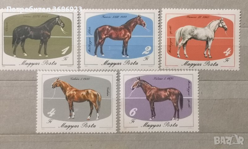 Унгария 1985г. Коне, снимка 1