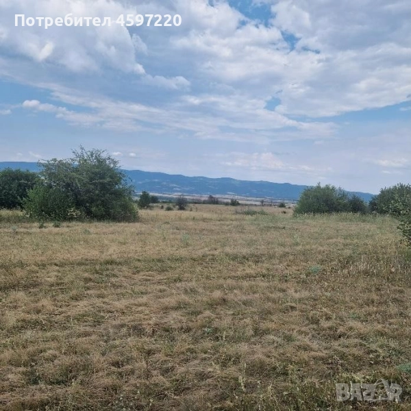 продавам поземлен имот с площ 10 001 кв.м в землището на град Долна баня, снимка 1