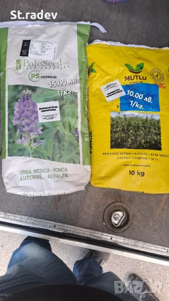 Люцерна семе. семе люцерна , снимка 1