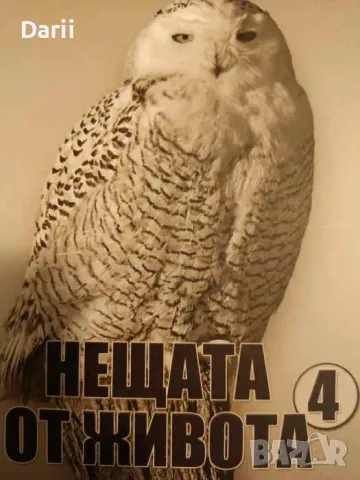 Нещата от живота. Книга 4