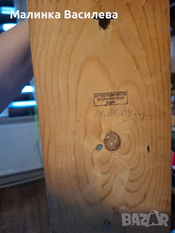 Птица, снимка 4 - За птици - 52895812